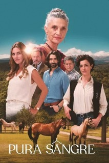 Чистая кровь