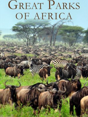 Постер сериала «Великие парки Африки»