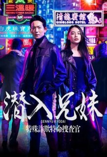 Постер сериала «Брат и сестра под прикрытием»