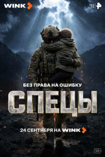 Постер сериала «Спецы»
