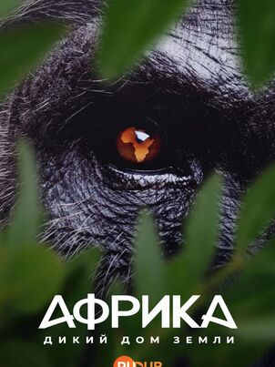 Постер сериала «Африка: Дикий дом Земли»