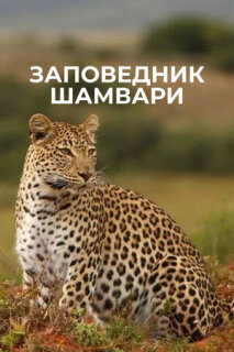 Постер сериала «Заповедник Шамвари»