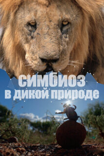 Постер сериала «Симбиоз в дикой природе»