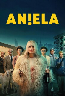 Постер сериала «Анеля»