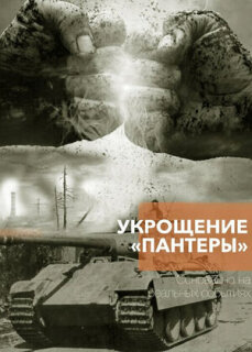 Постер сериала «Укрощение «Пантеры»»