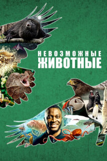 Постер сериала «Невозможные животные»
