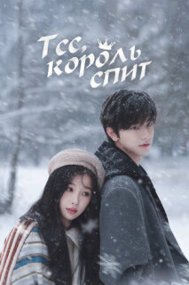 Постер сериала «Тсс, Король спит»