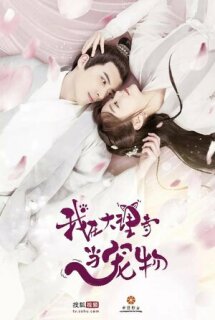Постер сериала «Кошка из палаты по уголовным делам»