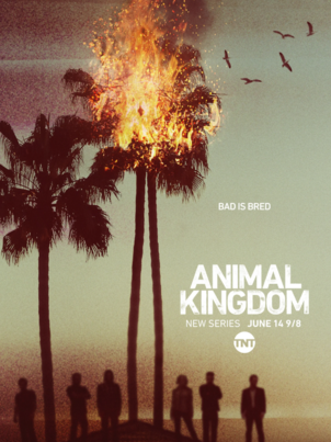 По волчьим законам