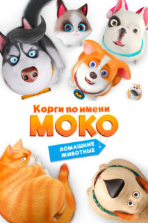 Постер сериала «Корги по имени Моко. Домашние животные»