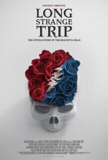 Постер сериала «Долгое странное путешествие»