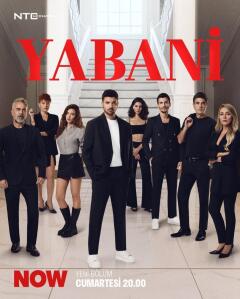 Постер сериала «Дикий»