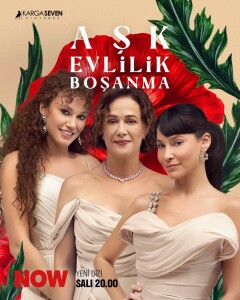 Постер сериала «Любовь, брак, развод»
