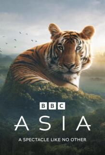 Постер сериала «Азия»