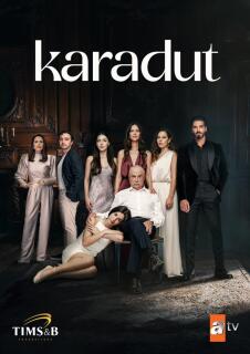 Постер сериала «Чёрная шелковица»