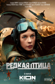 Постер сериала «Редкая птица»