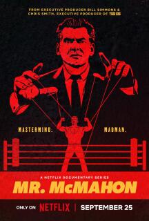 Постер сериала «Мистер Макмэн»