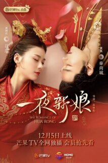 Постер сериала «Невеста на одну ночь»