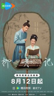 Постер сериала «Скрытое очарование»