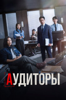 Постер сериала «Аудиторы»