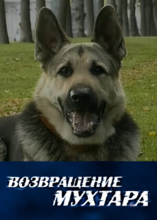 Постер сериала «Возвращение Мухтара»