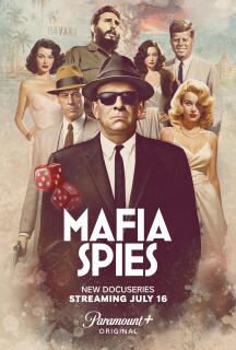 Постер сериала «Шпионы мафии»