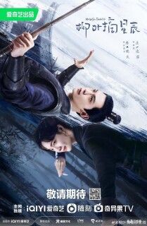 Постер сериала «Двойная жизнь моей жены»