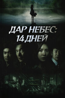 Постер сериала «Дар небес: 14 дней»
