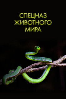 Постер сериала «Спецназ животного мира»