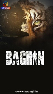 Постер сериала «Багин»