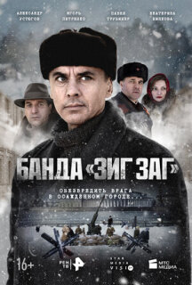 Постер сериала «Банда «ЗИГ ЗАГ»»