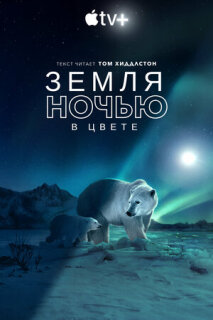 Постер сериала «Земля ночью в цвете»