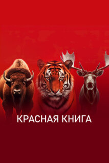 Постер сериала «Красная книга»