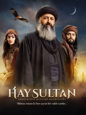 Постер сериала «Эй, Султан»