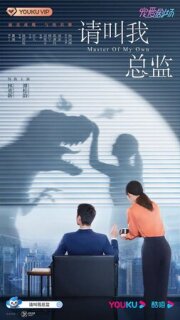 Постер сериала «Называйте меня директором»