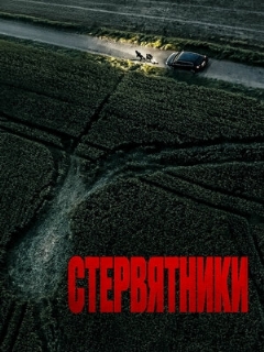 Постер: Стервятники