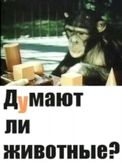 Постер фильма «Думают ли животные?»