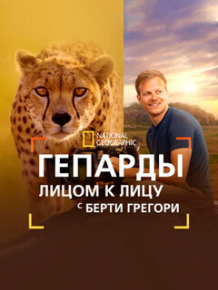 Постер: Гепарды: лицом к лицу с Берти Грегори