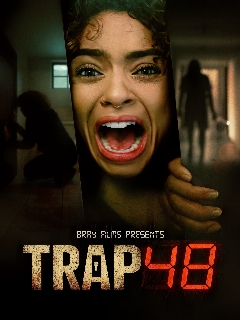 Постер: 48 часов