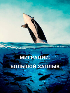 Постер фильма «Миграции: большой заплыв»