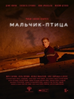 Постер: Мальчик-птица