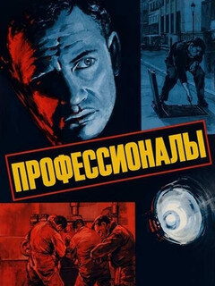 Постер: Профессионалы
