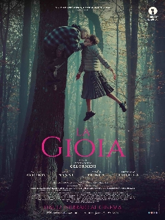 Постер фильма «Джойя»