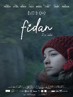 Постер фильма «Фидан»