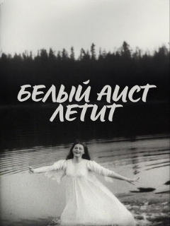 Постер фильма «Белый аист летит»