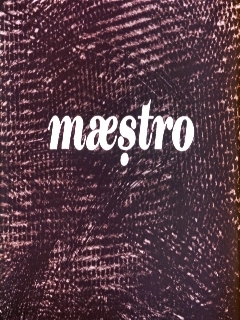 Постер: Маэстро
