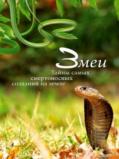 Постер: Змеи. Тайны самых смертоносных созданий на земле
