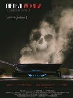 Постер: The Devil We Know