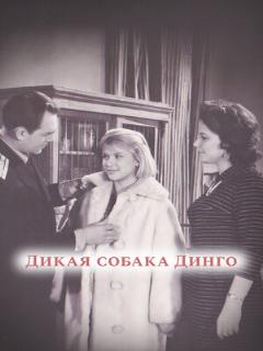 Постер: Дикая собака динго