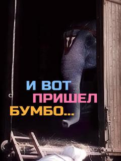 Постер: И вот пришел Бумбо...